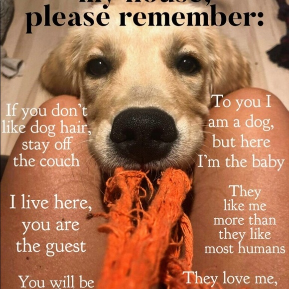 Meet your Posher, Christina - Picture 3 of 8